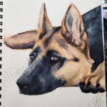 Watercolor Pencils German Shepard