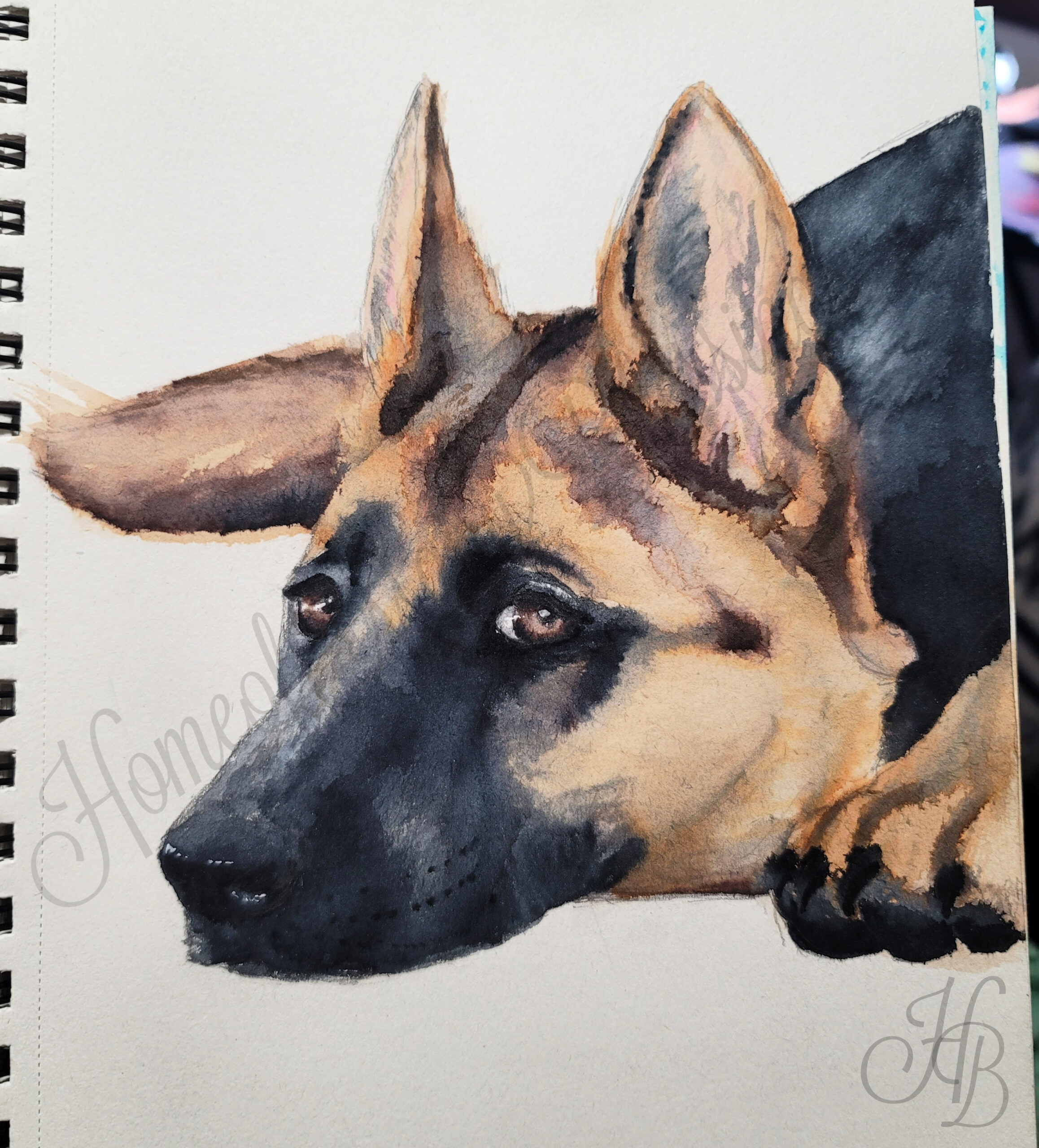 Watercolor Pencils German Shepard